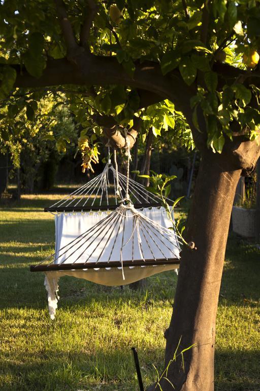 Agriturismo Terrenia Βίλα Trappitello Εξωτερικό φωτογραφία